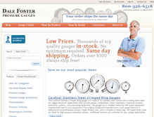 Tablet Screenshot of dfs-gauges.com